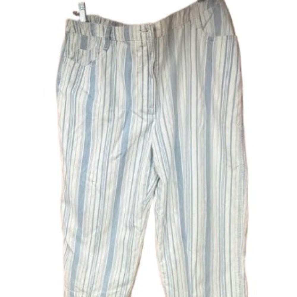 Christopher & Banks Blue and White Striped carpenter pamts size 14